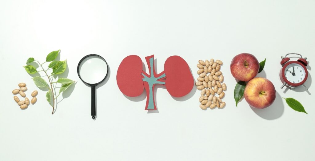 The Kidney & Hypertension Group of South Florida