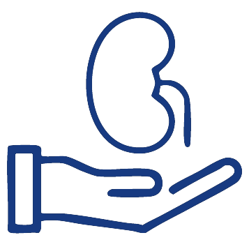 The Kidney & Hypertension Group of South Florida