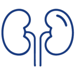 Kidney Group South Florida