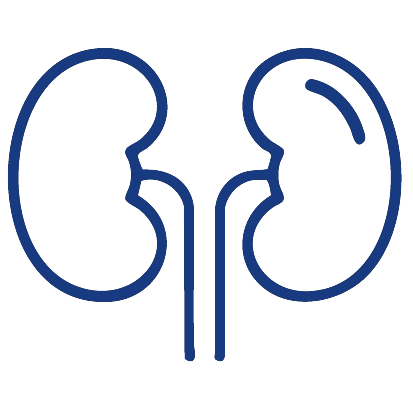 Kidney Group South Florida
